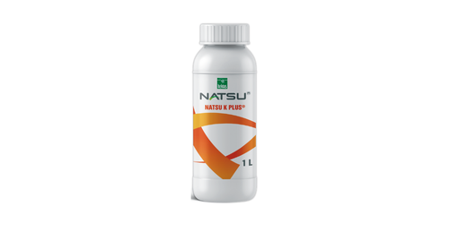Natsu K Plus