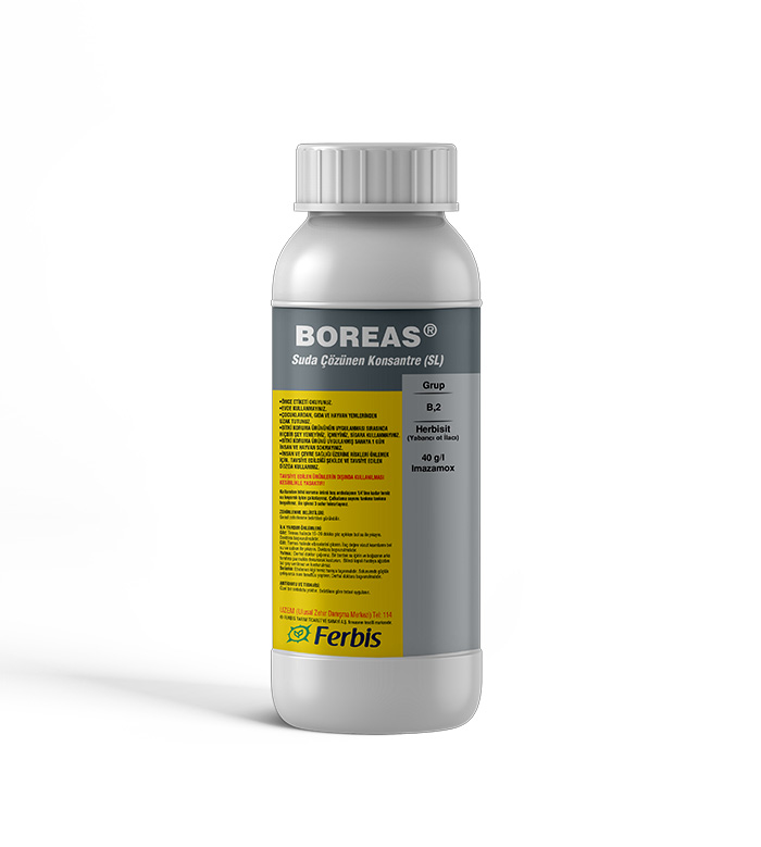 Boreas