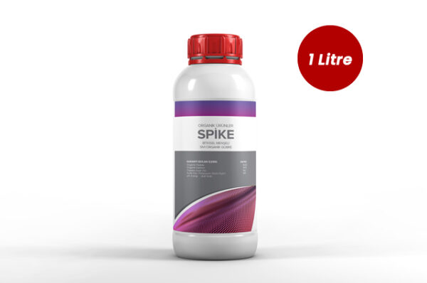 Spike