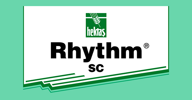 RHYTHM® SC