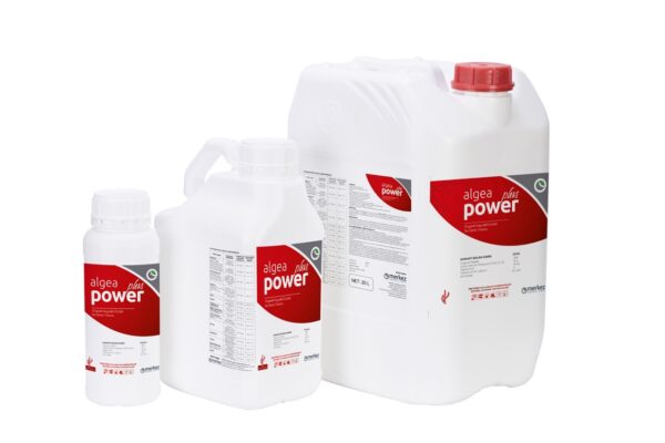 Algea Power Plus