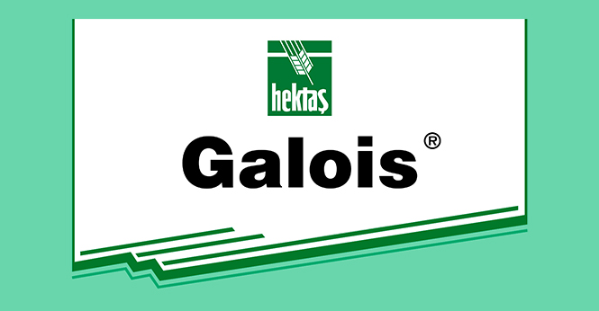 HEKTAŞ GALOİS®