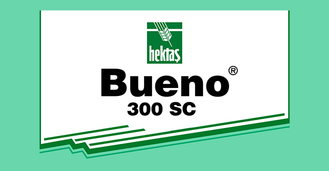 BUENO® 300 SC