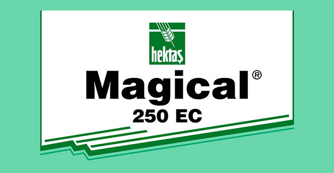 MAGICAL® 250 EC