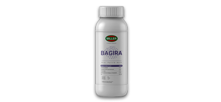 MILLER BAGIRA