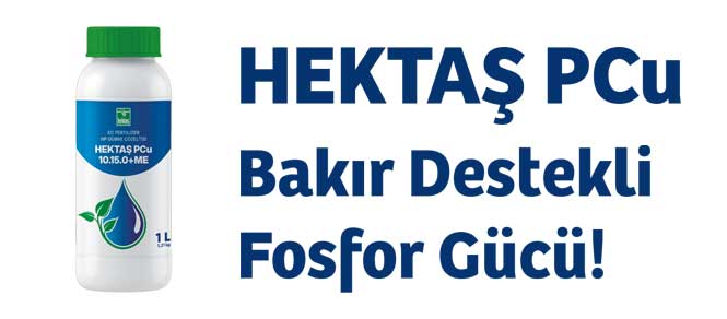 HEKTAŞ PCu