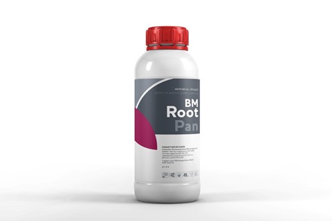 Bm Root Pan