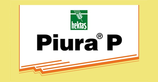 PIURA®-P