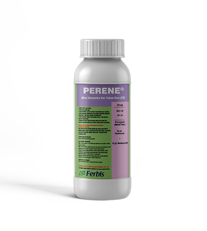 Perene