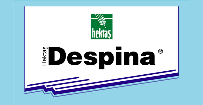 HEKTAŞ DESPİNA®