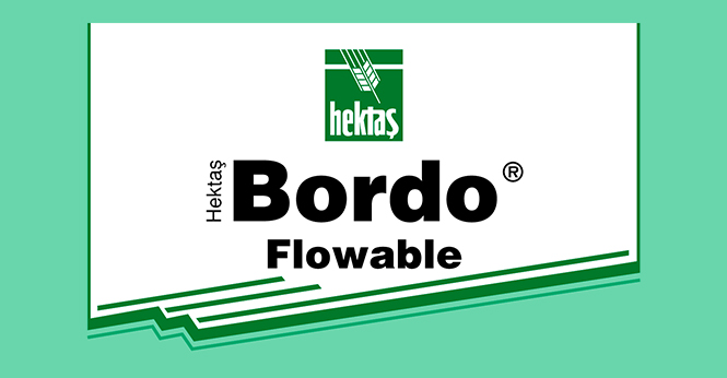 HEKTAŞ BORDO® FLOWABLE