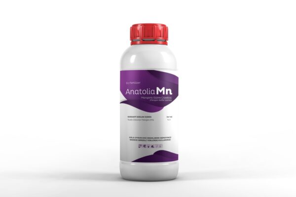 Anatolia Mn